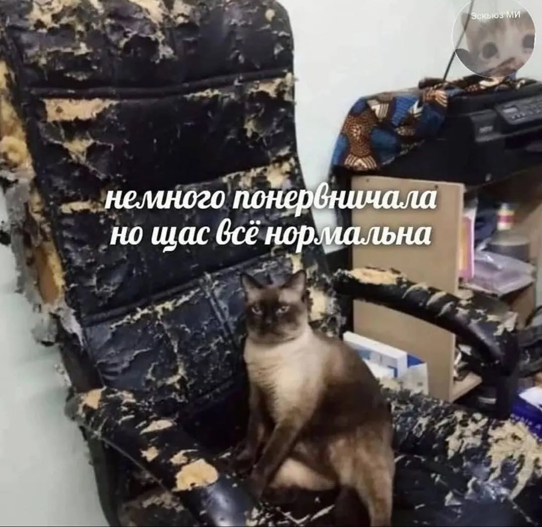 Все нормально #1