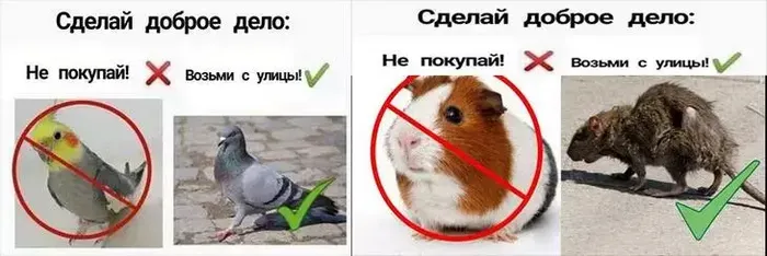 Возьми с улицы #1