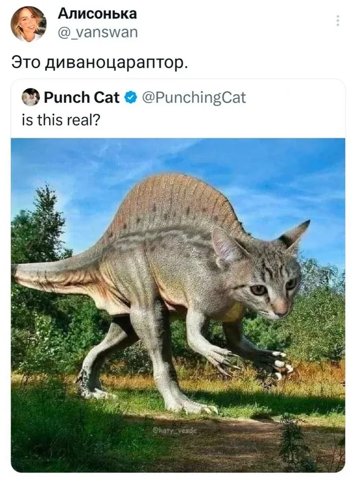 Котолодон #1