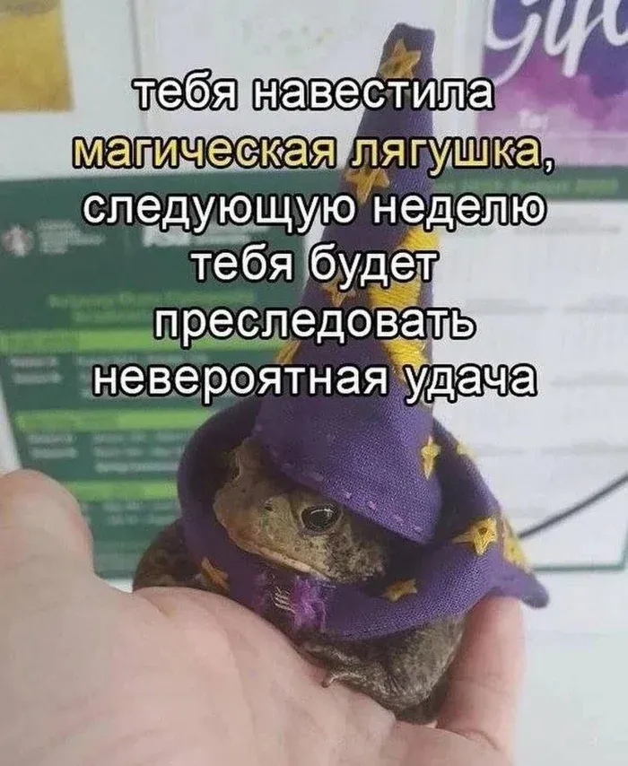К следующей неделе #1