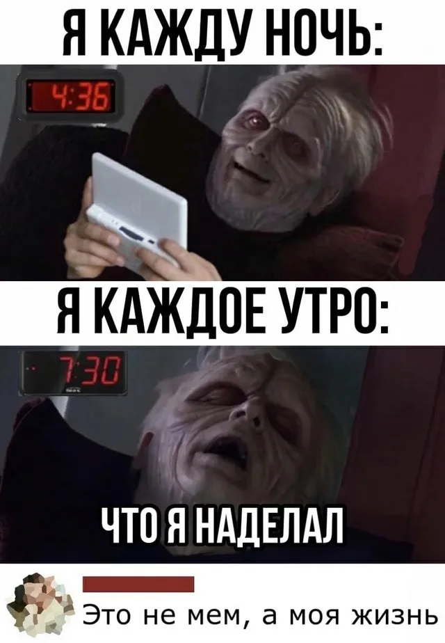Тем временем совы #1