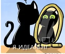 Кошки-Мышки (выпуск 42). #1