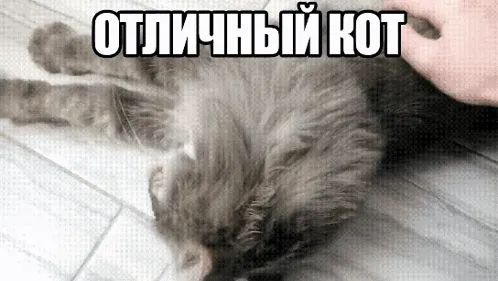 А у меня праздничек! #2