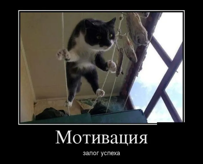 Любите ли вы блины так же, как их люблю я? #1
