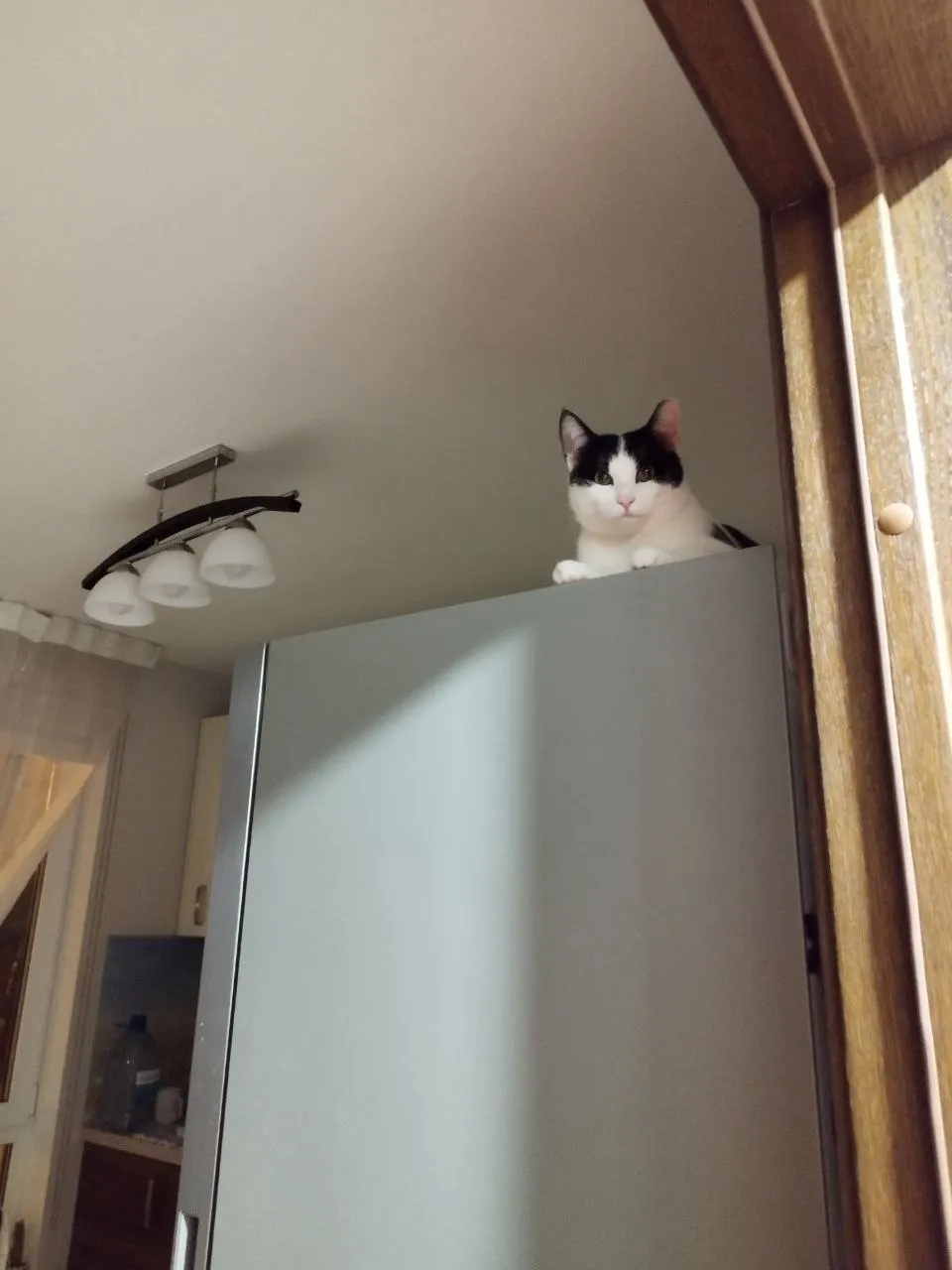Pixie & Brutus - Hanger (2023.03.03) #2