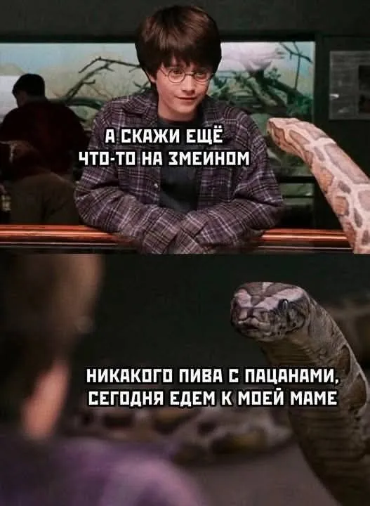 Змеиный язык #1