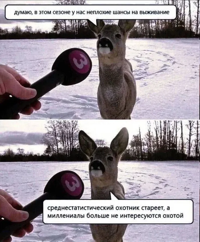 Шанс растет #1
