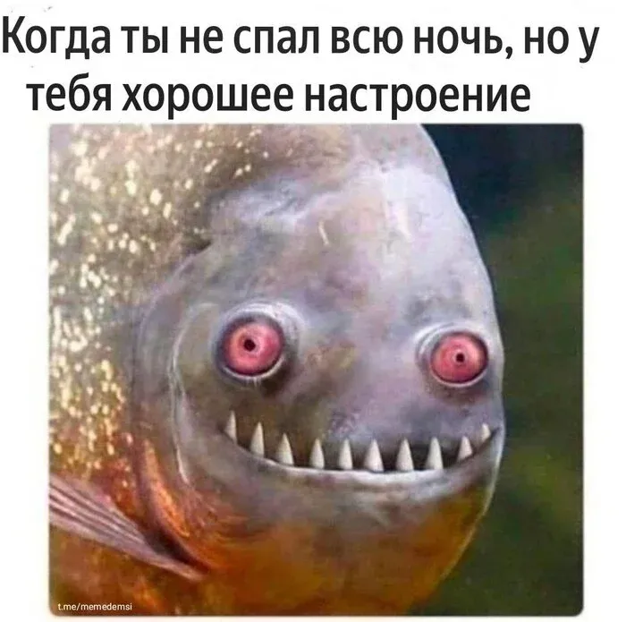Всем спокойной ночи #1