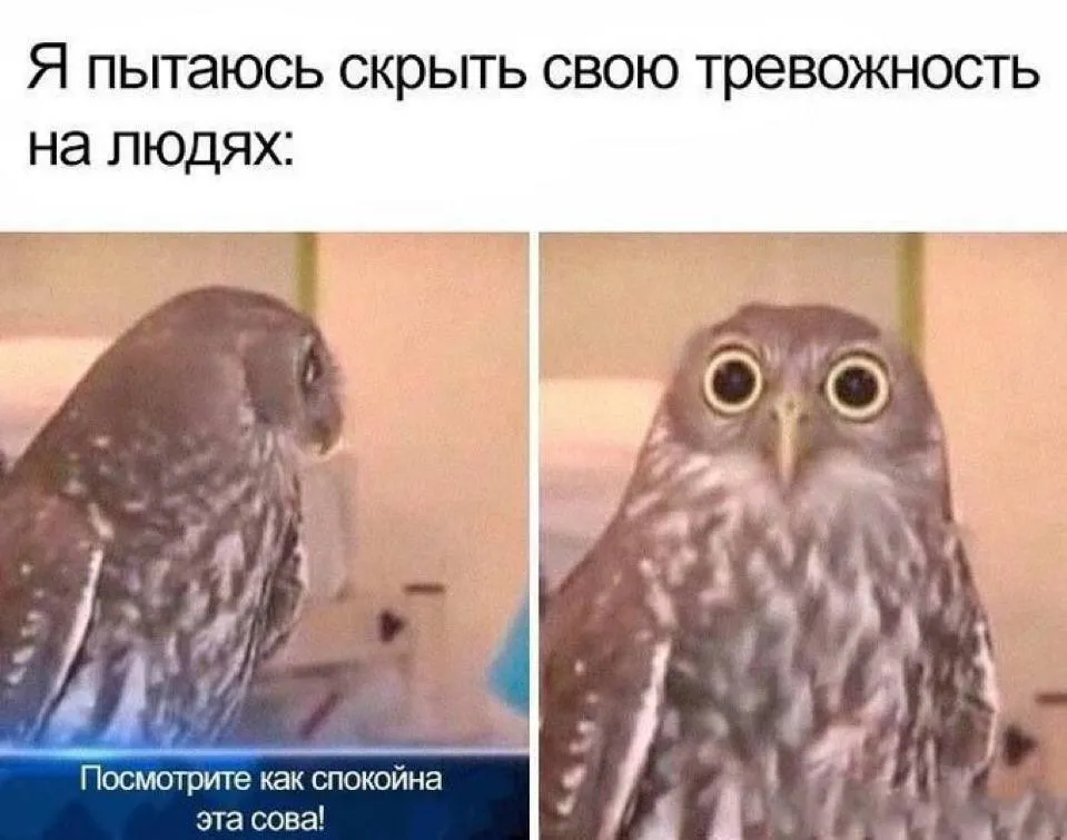 Тревожность #1