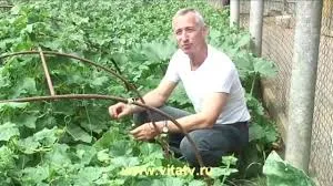 По-взрослому #2