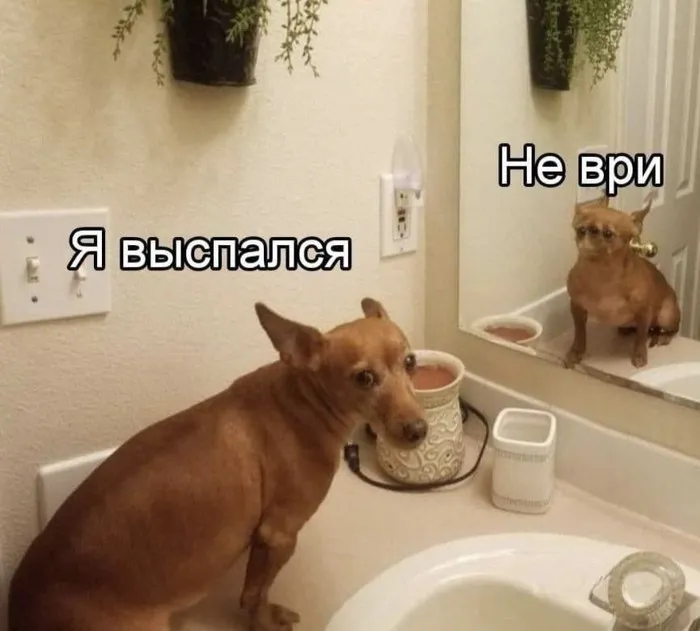 Доброе утро #1