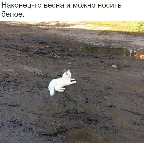Запахло весной #2