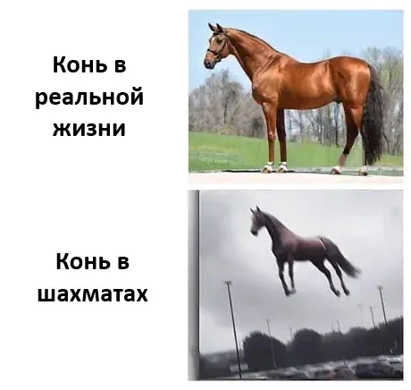 Конь в шахматах #1