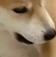 Пикси и Брут IRL #2