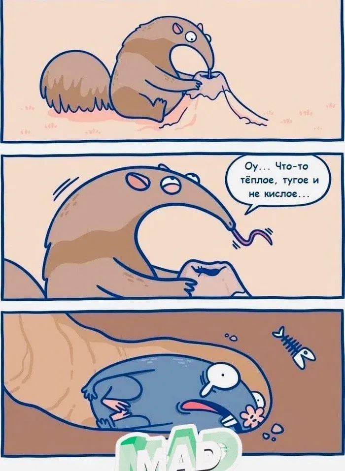 Муравьед #1