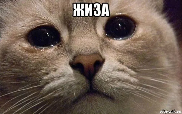 Начнем все с начала #1