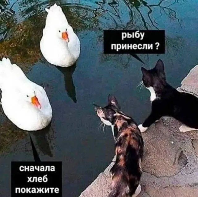 Обмен #1