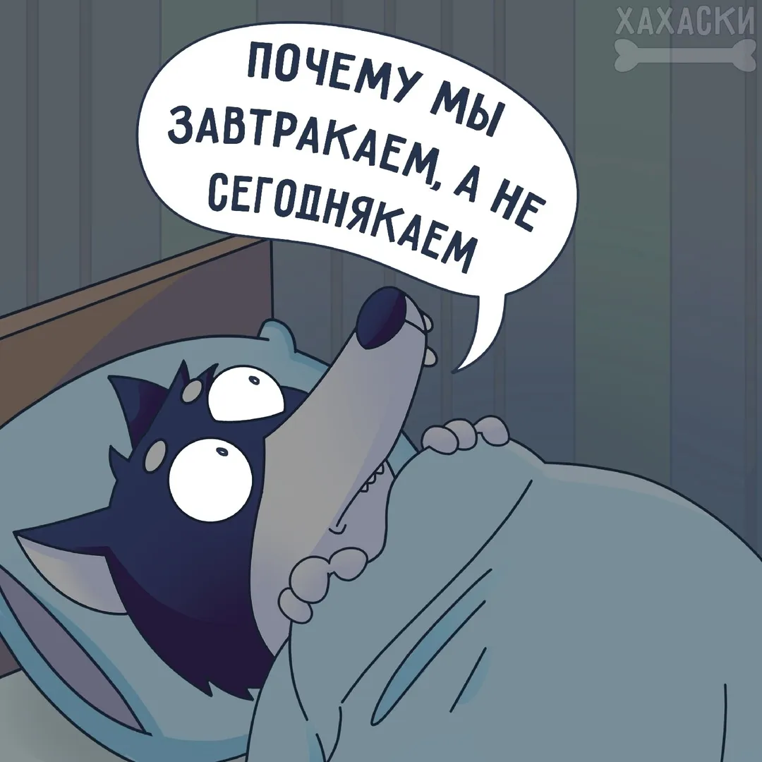 Вопросы #1