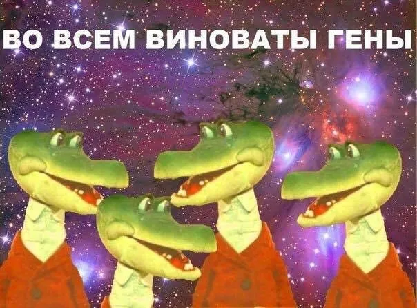 Заморожено #1