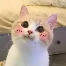 С днем рождения, DEg!🎉 #2