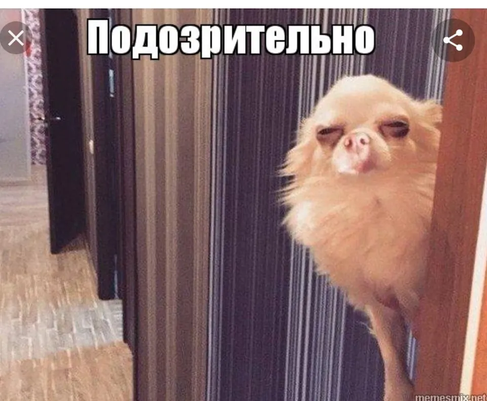 Краш-тест бутылок #2