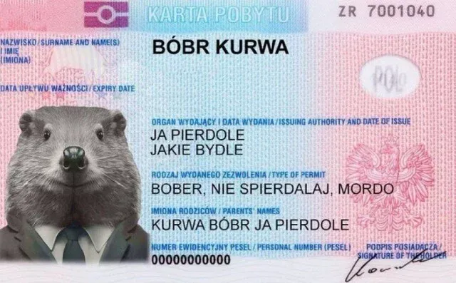 Карта поляка #1