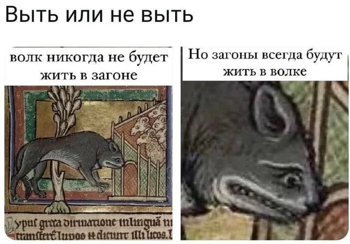 Загон #1