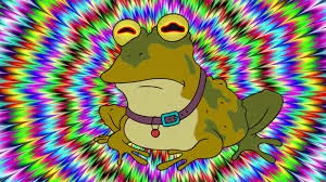 Its Wednesday my dude ! #2