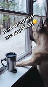 С днём труда! #2