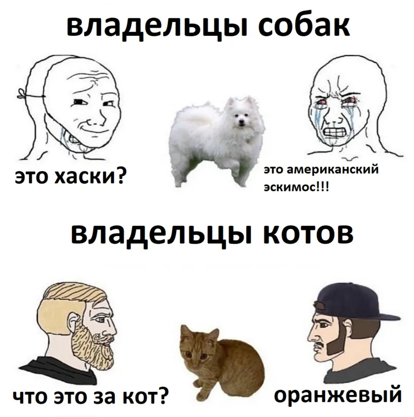 Дизайнерские породы собак: тренд XXI века или сомнительная прихоть? #2