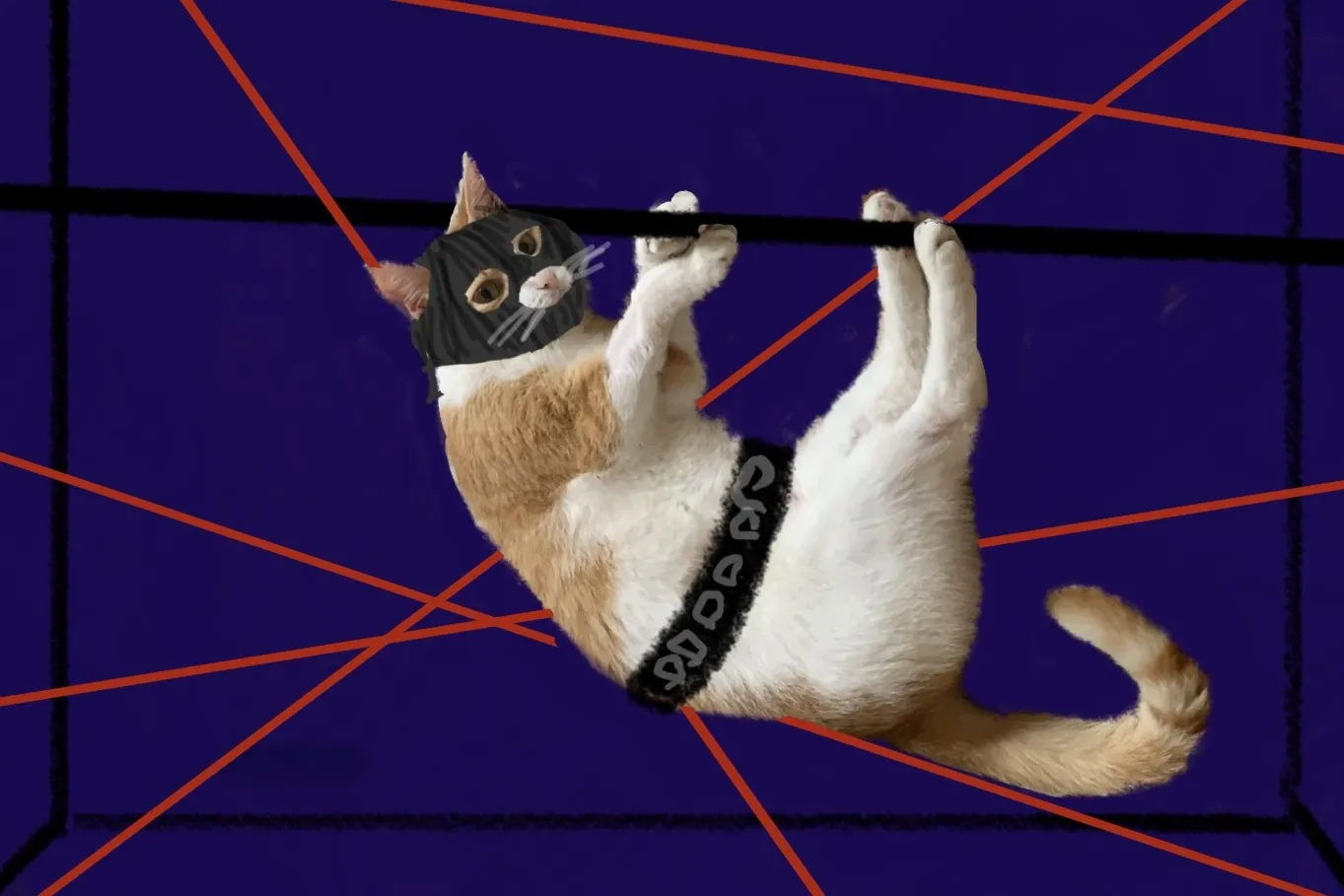 Pixie & Brutus - Obstacles (2024.03.19) #1