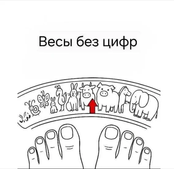 Весы без цифр #1