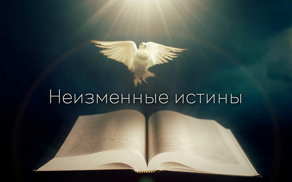А здесь 10 отличий найдутся?)😁 #2