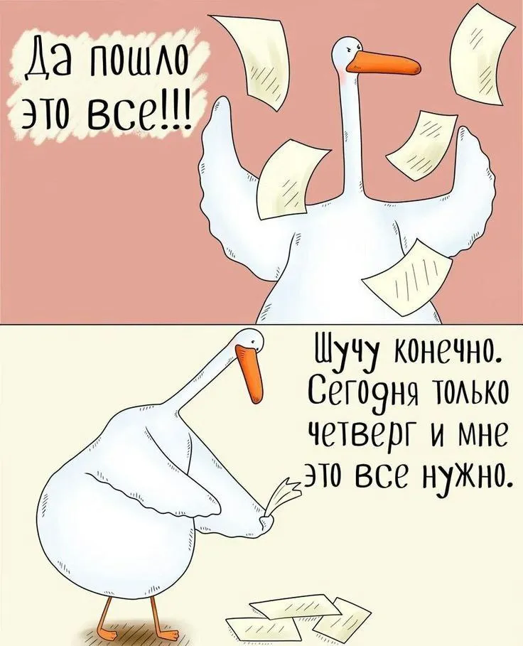 Ну все, четверг #1