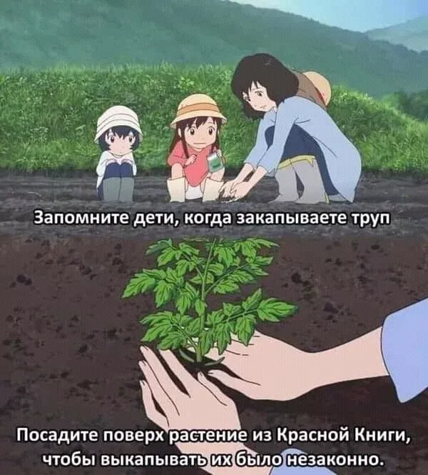Совет #1