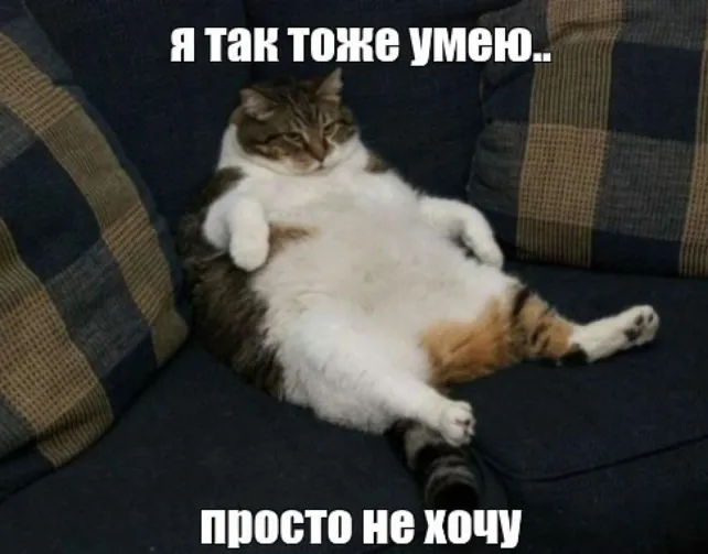 : #1