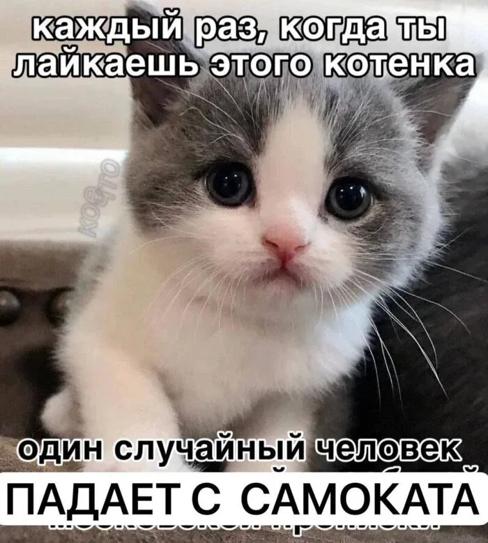 Лайк котенка #1