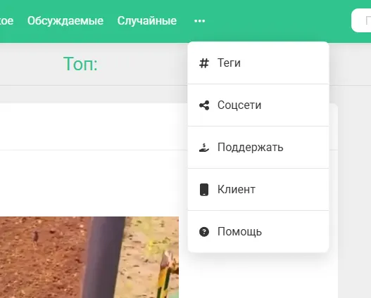 Дополнительные пункты меню [фидбек] #2