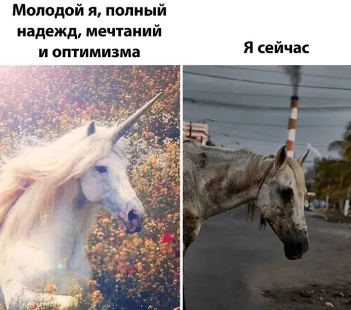 Единорог #1