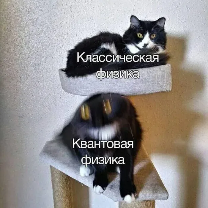 Квантовая физика #1