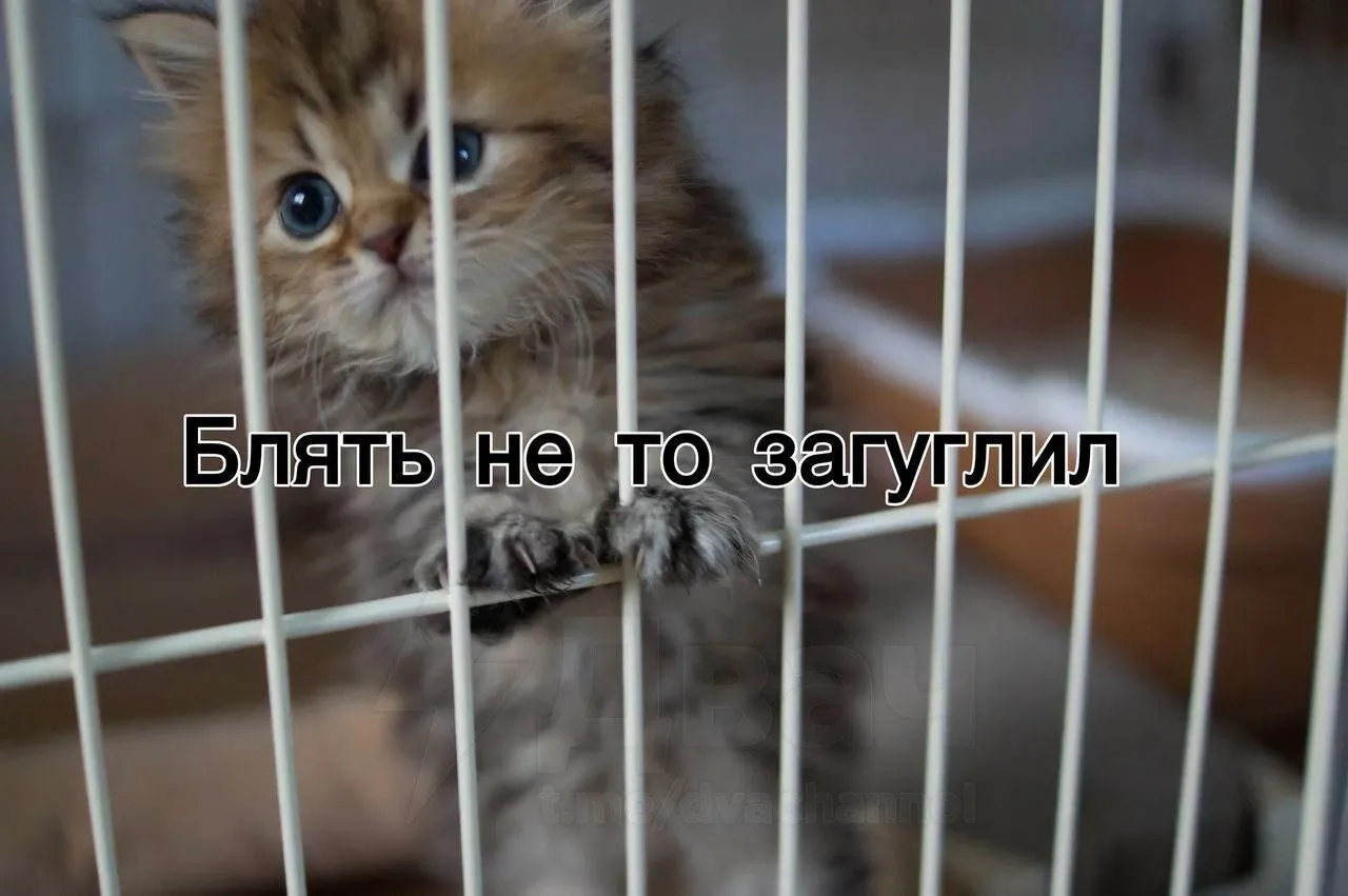 На фоне последних новостей #1