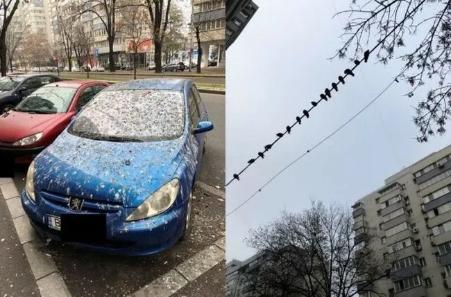 Сложный выбор... #2