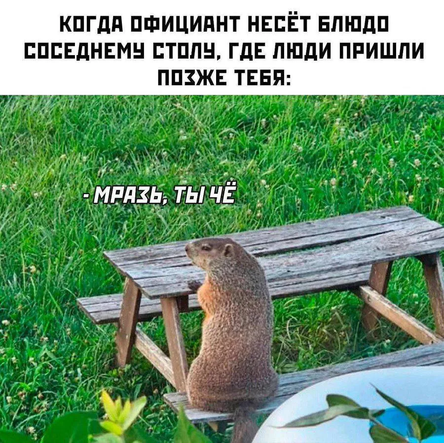 Типовая ситуация #1