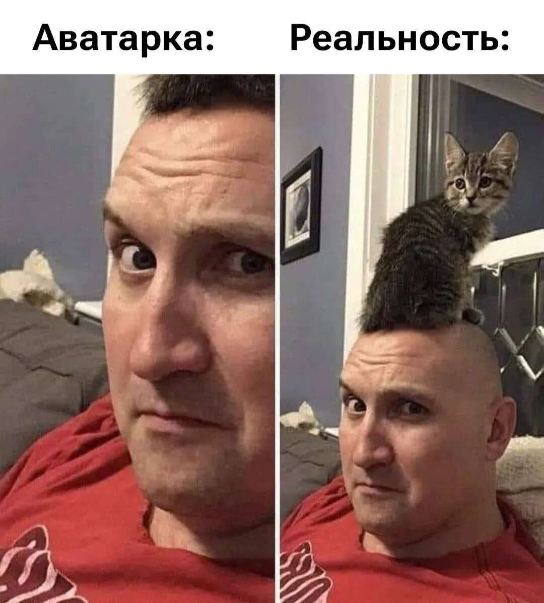 Парик #1