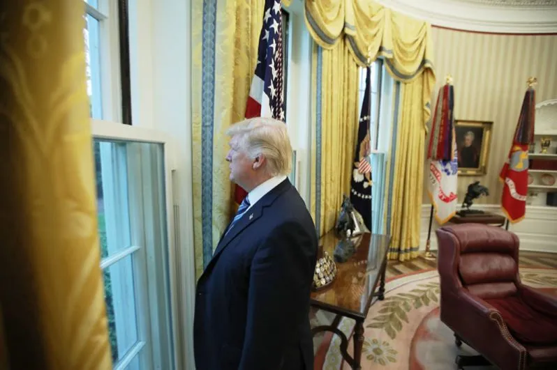 Трамп разнообразия  #2