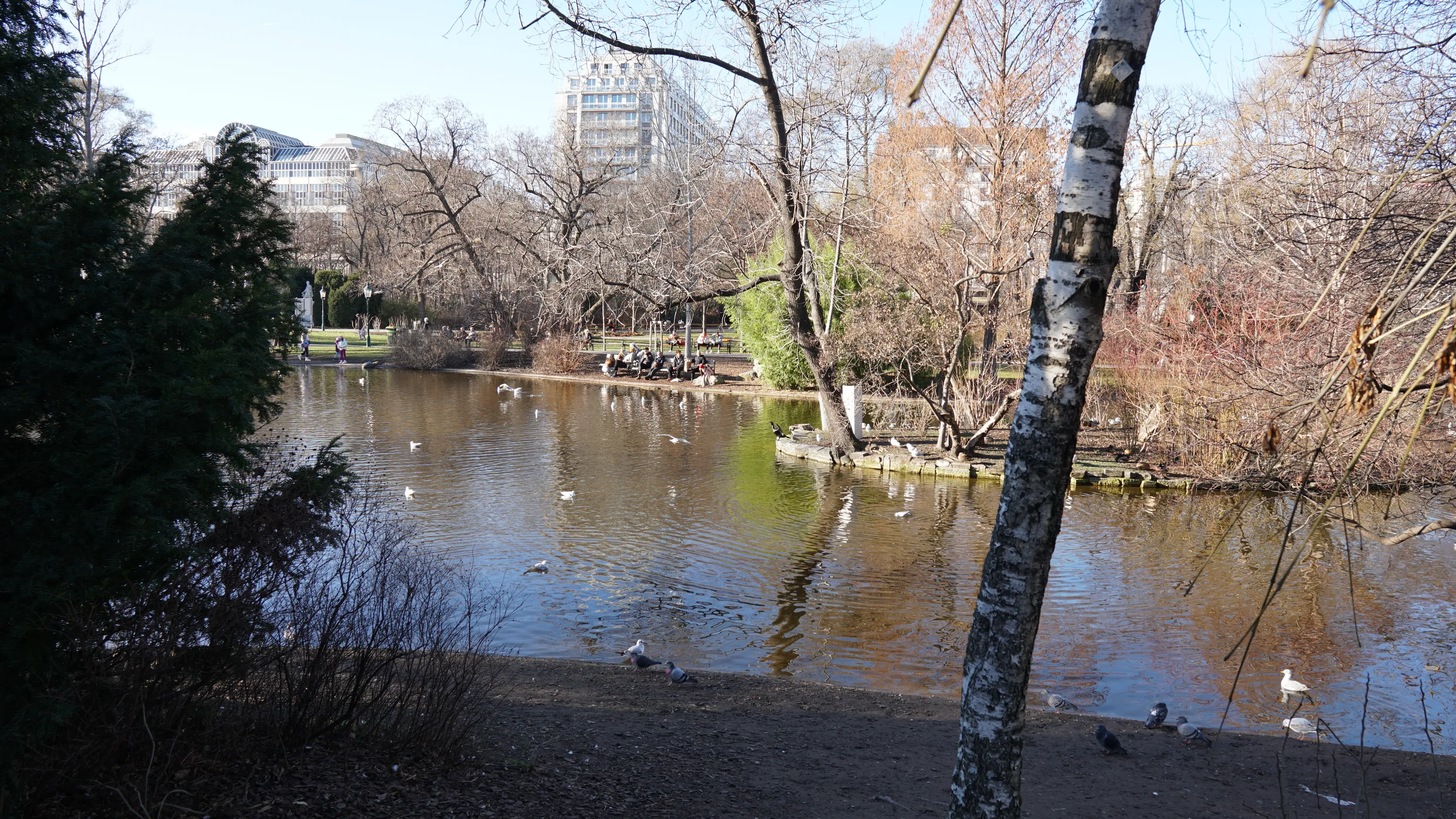 Городской парк