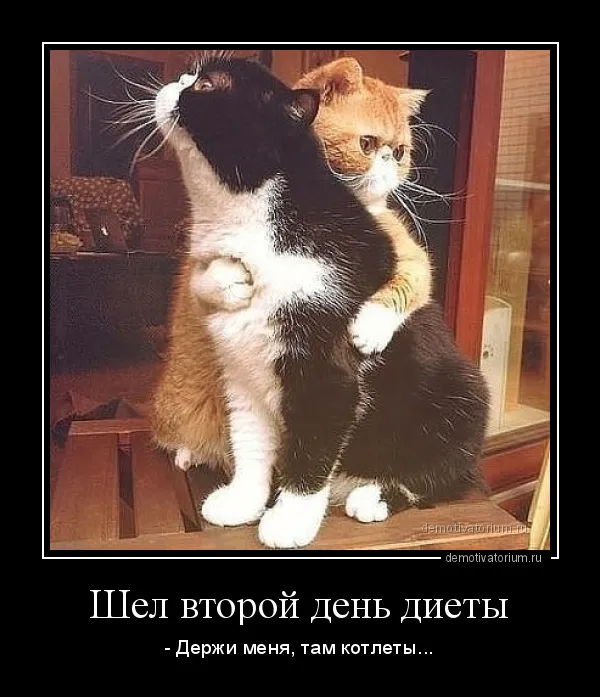 Жизненно #2