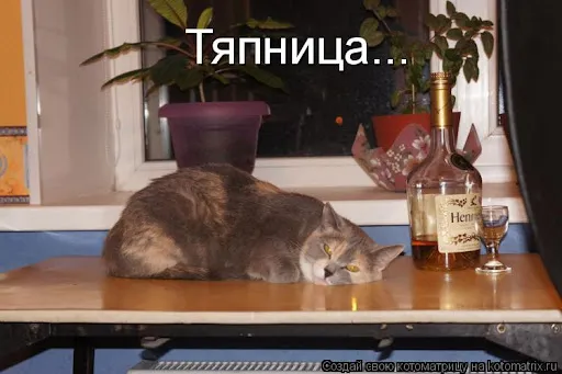 С пятницей #2