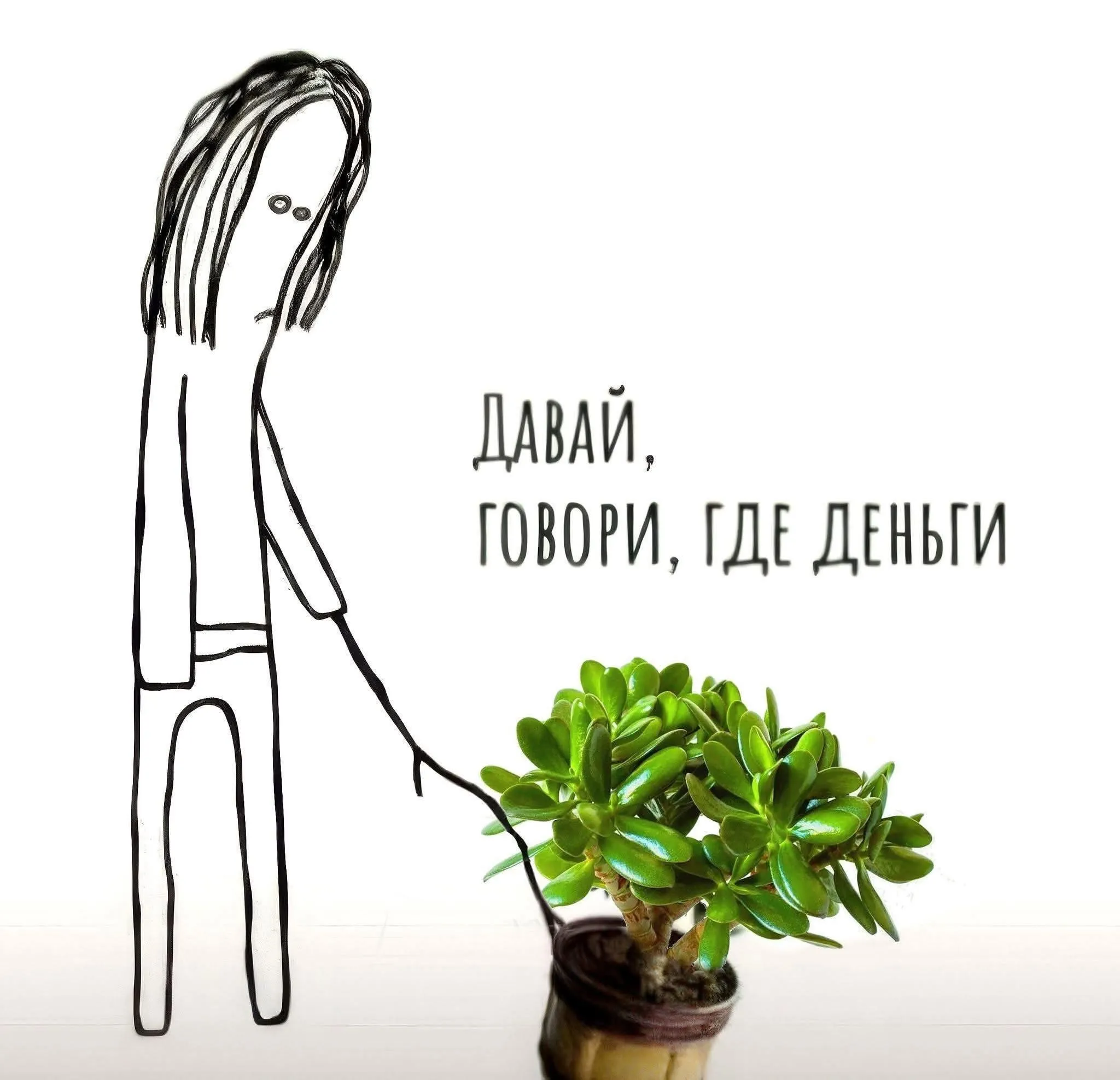 Денежное дерево #1