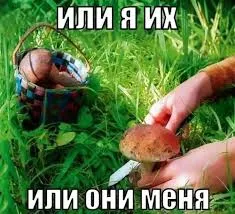 Первый гриб сезона #1